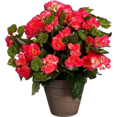 Mica Decorations Begonia Kunstplant - H37 x Ø36 cm - Donkerroze