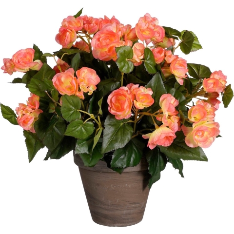 Mica Decorations Begonia Kunstplant - H37 x Ø36 cm - Zalmroze