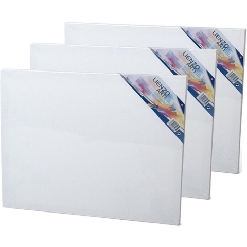 4x stuks canvas schildersdoeken 50 x 40 cm voor hobby verven/schilderen -