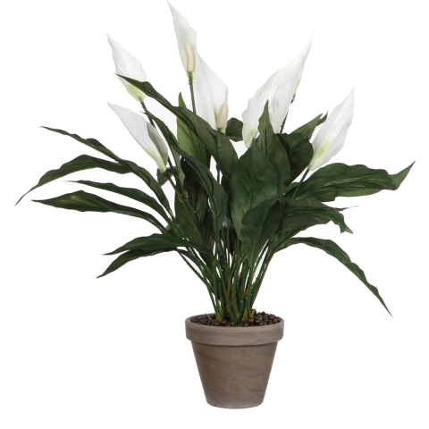 Mica Decorations Spathiphyllum Kunstplant - H50 x Ø40 cm - Wit