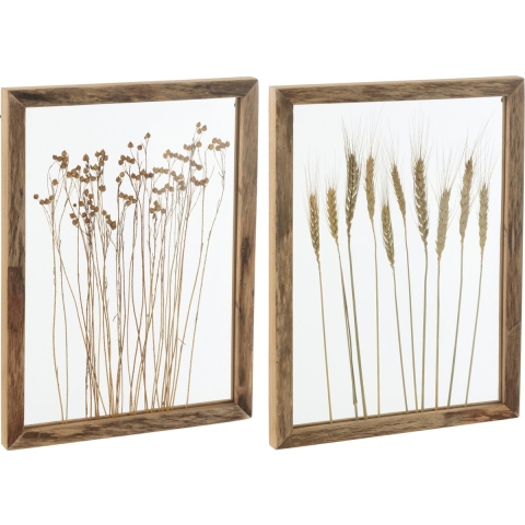 J-Line Wanddecoratie Graan Dennenhout|Glas Transparant|Bruin Assort