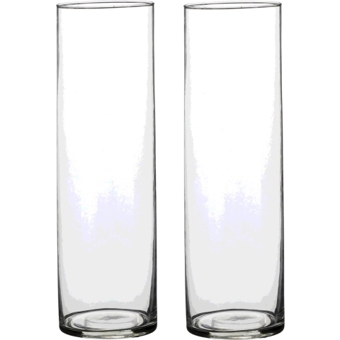 Mica Decorations Vaas - 2x - cilinder - helder glas - D9 x H30 cm - Bloemenvaas -