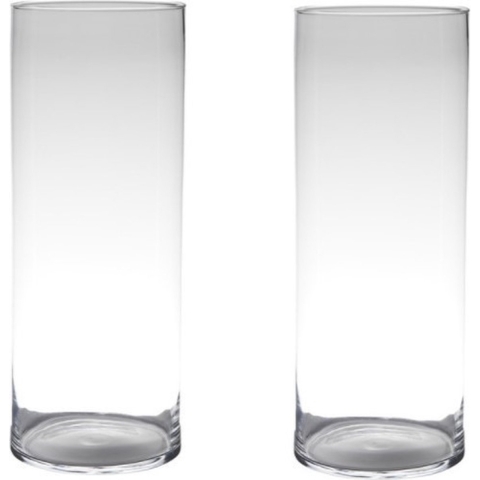 Set van 2x stuks transparante home-basics cylinder vaas/vazen van glas 50 x 19 cm -