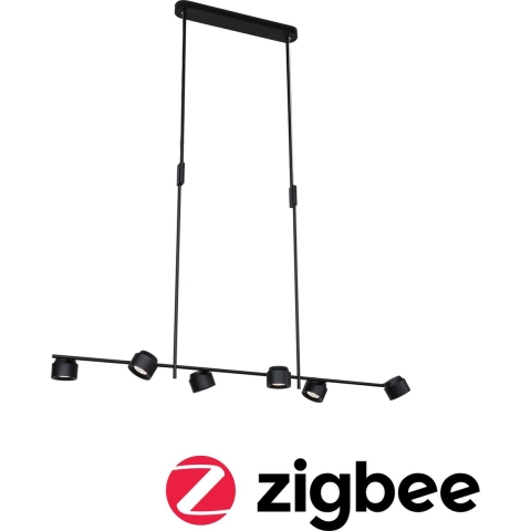 Paulmann Pane 79783 LED-hanglamp 36 W Zwart