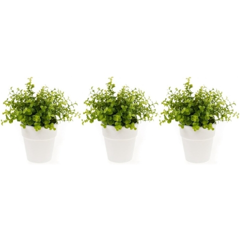 Set van 3x stuks kunstplanten eucalyptus groen in witte pot 22 cm -