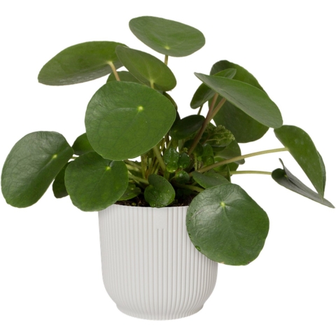 elho Vibes Fold Bloempot Ø 30 cm