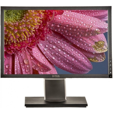 Dell P1911b