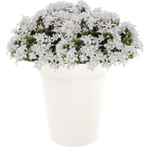 Bloempot Toscane kunststof wit D44 x H53 cm -