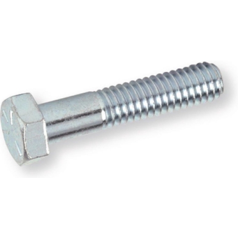 Hoenderdaal Zeskantbout Vz 8.8 Sw-17 Din931 M10X65 | 100 stuks - 1740.11.70101