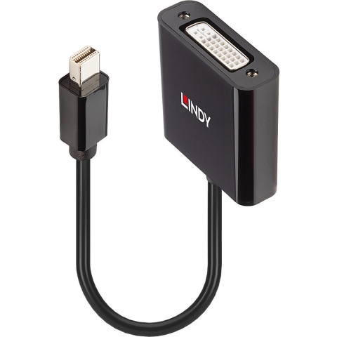 LINDY Monitor Adapter [1x Mini-DisplayPort stekker - 1x DVI] 41736 0.16 m
