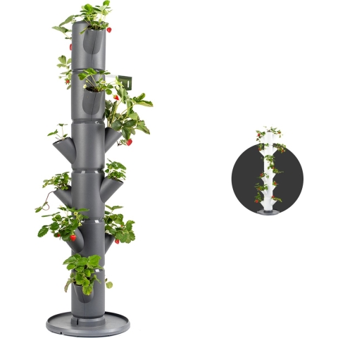Gusta Garden - Sissi Strawberry - Klassieke Planttoren - 6 niveaus