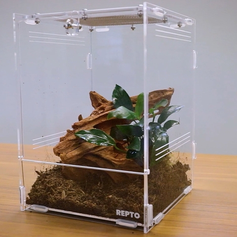 Repto terra clear 30x20x15,5 cm - Aquadistri
