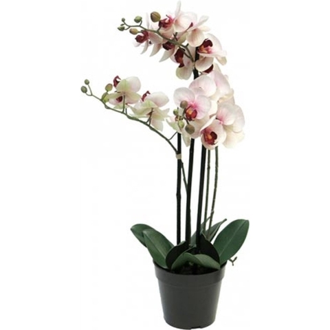 Phalaenopsis Orchidee In Pot 60 cm roze kunstplant - Nova nature