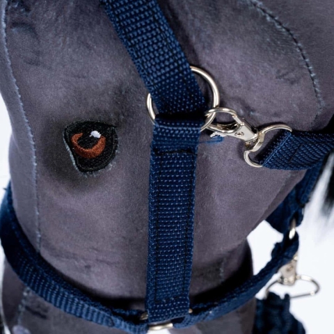 by ASTRUP Halster en Trekkoord Voor Hobbypaard - Blauw - by ASTRUP - OneSize - Speelgoed