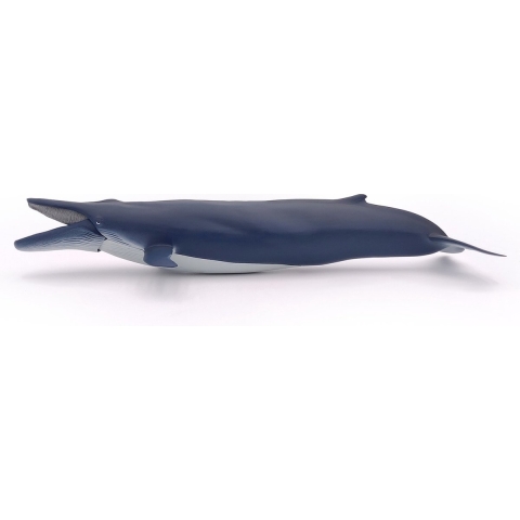 Papo Blauwe Walvis - l: 40 cm - Papo - OneSize - Speelgoeddieren