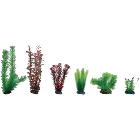 Plantasy set 3 decoratie planten - Smulders