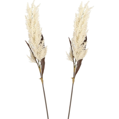 Pampasgras pluim losse steel/tak - 2x - creme wit - 88 cm - Decoratie kunst graspluimen -