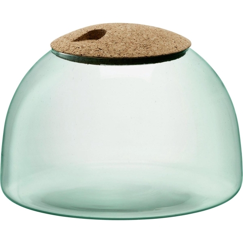 L.S.A. Canopy Planten Terrarium 16,5cm