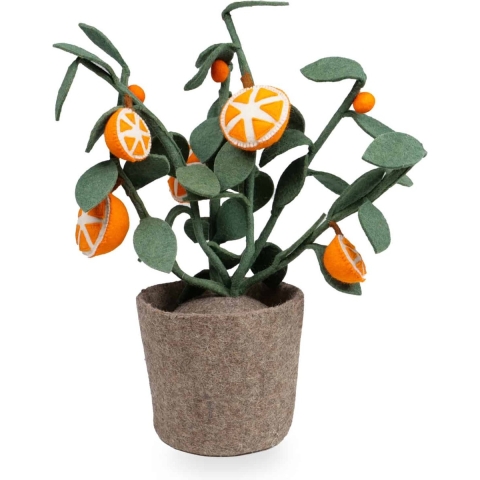 Plant KidsDepot Orange