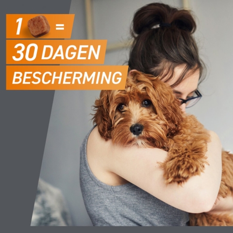 2x Frontpro Hond M 4-10 kg 3 tabletten