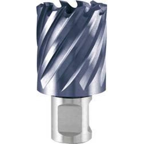 RUKO 108217F Kernboor 17 mm TiAIN 1 stuk(s)