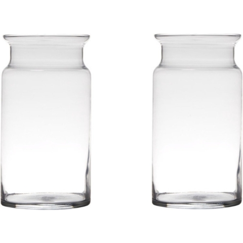 Set van 2x stuks transparante home-basics vaas/vazen van glas 29 x 15 cm -