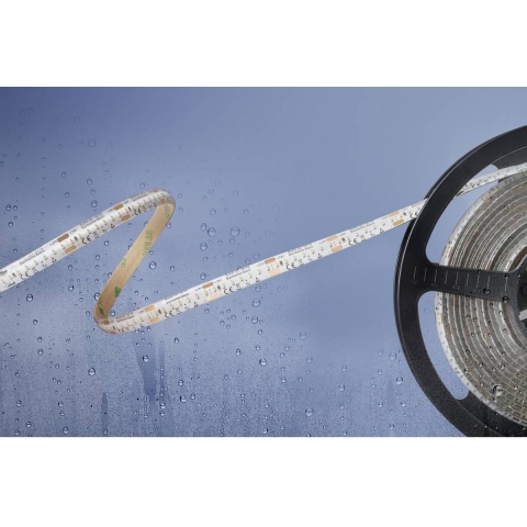 Barthelme Basic 51540134 51540134 LED-strip Met open kabeleinde 24 V 5 m Koudwit 1 stuk(s)