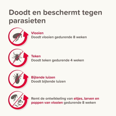 2x Beaphar Combotec Anti Teken- en Vlooiendruppels Hond 40-60 kg 2 pipetten