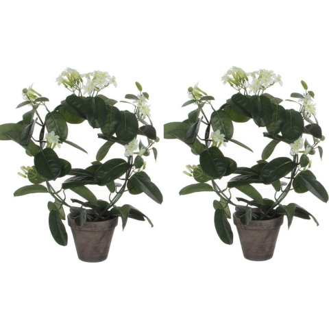 Mica Decorations Kunstplant - 2x stuks - Stephanotis bruidsbloem - wit - H50 x D40 cm -