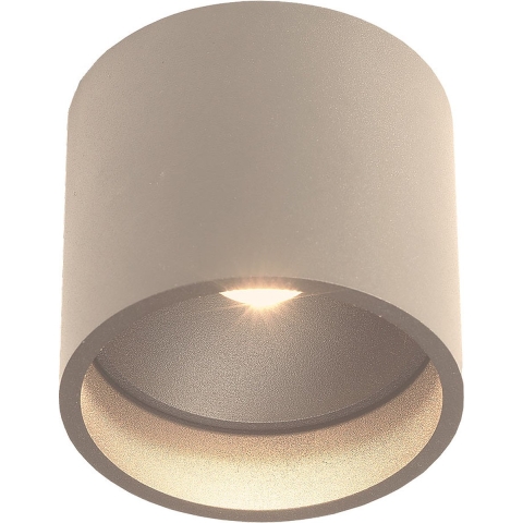 Artdelight Plafondlamp Orleans Ø 11 cm H 10 cm champagne