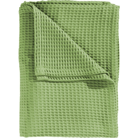 Heckett Lane Wafel Plaid - Apple Green