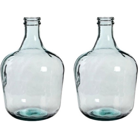 2x Fles vaas Diego 27 x 42 cm transparant gerecycled glas -