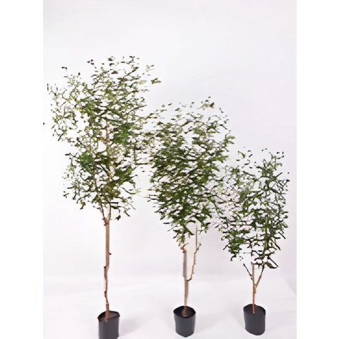 Olijfboom 120 cm kunstplant Oosterik Home - Oosterik home