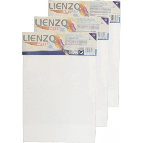 8x stuks canvas schildersdoeken 30 x 20 cm voor hobby verven/schilderen -