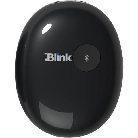 miniBlink