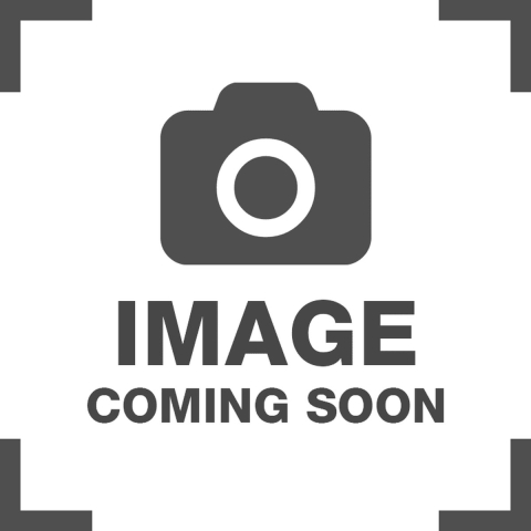 Hollex Puls Drukknop RVS 12V LED wit