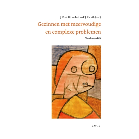 Gezinnen met meervoudige en complexe problemen (Hardback)