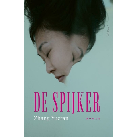 De spijker (Paperback)