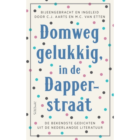 Domweg gelukkig, in de Dapperstraat (Hardback)