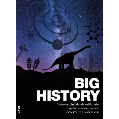 Big history (Hardback)