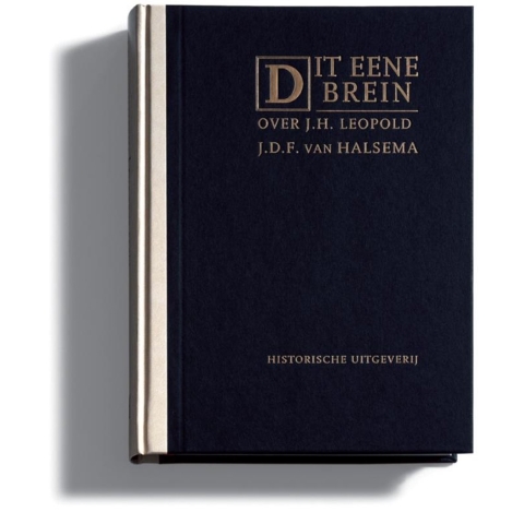 Dit eene brein (Hardback)
