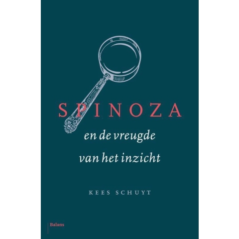 Spinoza en de vreugde van het inzicht (Hardback)