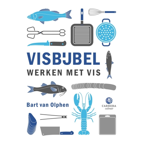 Visbijbel (Hardback)