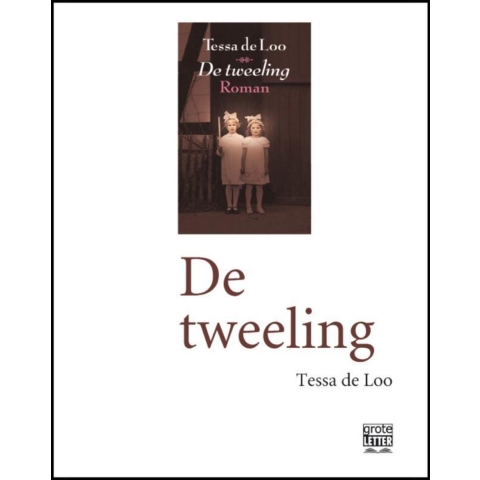 De tweeling (Paperback)