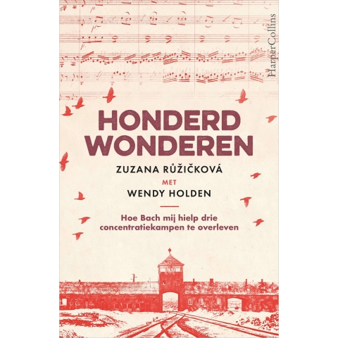 Honderd wonderen (Paperback)