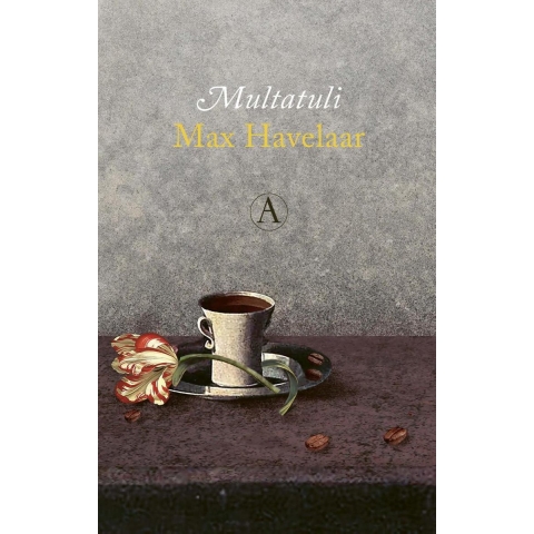 Max Havelaar (Paperback)