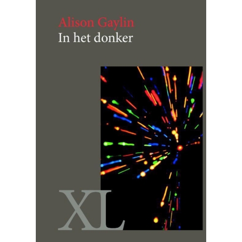 In het donker (Hardback)
