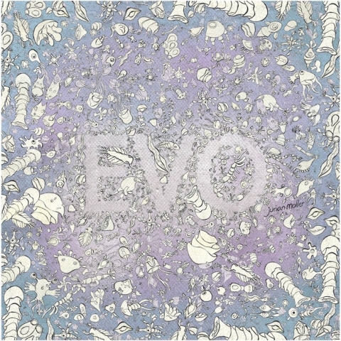 Evo (Hardback)