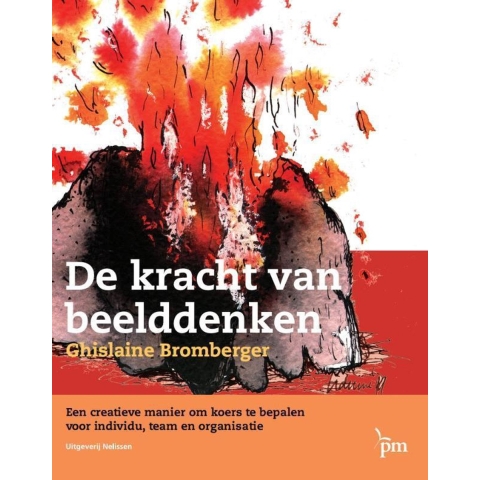 De kracht van beelddenken (Paperback)