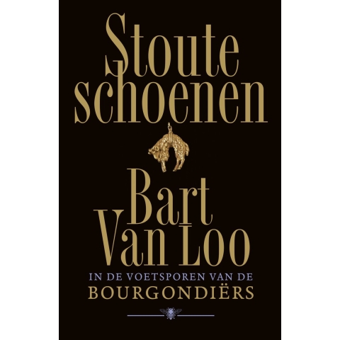 Stoute schoenen (Hardback)